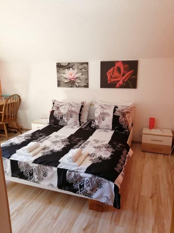 Apartman Franjicic 코레니카 외부 사진